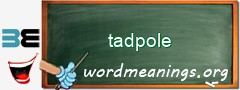 WordMeaning blackboard for tadpole